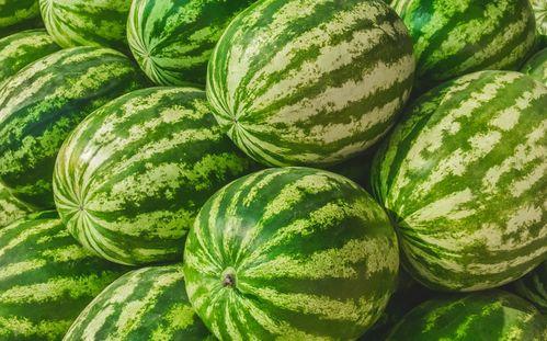 吃瓜爆料短剧吃瓜爆料大赛每日聚集地 吃瓜真实爆料,吃瓜爆料大赛，每日聚集地真实爆料大公开